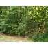 103 INGLEWOOD LN, CROSS JUNCTION, VA - MLS FV7099790