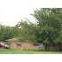 310 Reed Road, Granbury, TX - MLS 11225815