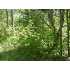 ON BUCKATABON RD E, , WI - MLS 104448