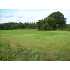 0 Williford Crossing Road, Cordele, GA - MLS 117329