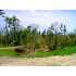 Lot 1 Elanor Way, Weare, NH - MLS 2718014