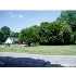SYCAMORE and AURELIUS, HOLT, MI - MLS 192205