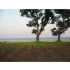 823 N Beach Blvd, Waveland, MS - MLS 215280