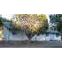 1015 S Sycamore St., Payson, AZ - MLS 58940