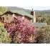 4557 N Portal Drive, Pine, AZ - MLS 58945