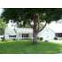 1423 W SCHWARTZ Blvd, THE VILLAGES, FL - MLS G4650199