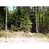 ON BLACKBERRY DR, , WI - MLS 104558