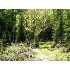 ON CHANNEL RD, , WI - MLS 104560
