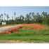 10061 Hwy 603, Bay St. Louis, MS - MLS 215239