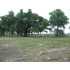 0 County Farm Rd, Long Beach, MS - MLS 215296