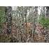 Off Greenfield Road, Cardville, ME - MLS 941412