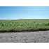 XXXE 540th St, Braham, MN - MLS 3811908