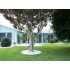 1515 Yucatan Way, The Villages, FL - MLS G4650335