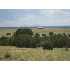 0 Steam Engine Rd, Rye, CO - MLS 124787