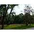 209 S. Beech Street, Ocilla, GA - MLS 117381