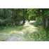 381 MALDEN BRIDGE RD, Nassau, NY - MLS 29114274