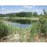 PEACOCK ROAD, HASLETT, MI - MLS 192804