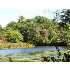 11 Riverview Ter, Dover, MA - MLS 70952289