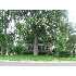 288 Main, West Seneca, NY - MLS B343000