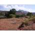 Dandd Subdivision, Rockville, UT - MLS 09-112092