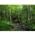 Lot 10 Off East Branch Road, Seboeis, ME - MLS 943364