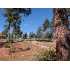 1114 N Alyssa Circle, Payson, AZ - MLS 59118