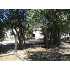 300 S Kodz, Payson, AZ - MLS 59115