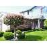 8 Wilshire, Frankenmuth, MI - MLS 092677