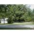 127 Shady Lane, Ottawa, OH - MLS 115015