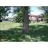V/L S VENOY, WESTLAND, MI - MLS 29104015