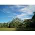 Off of ARRINGTON (OLD) RD, COLLEGE STATION, TX - MLS 56722
