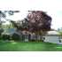 184 Birch Lane, Glenville, NY - MLS 29115407