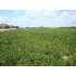 500 W Brannon Rd, Nicholasville, KY - MLS 913847