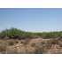 Buchanan and Harrison Rd, Deming, NM - MLS 20108351