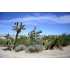 250 W GRAND WASH DR, Meadview, AZ - MLS 832360