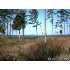 41 WINDJAMMER LANE WEST, Merritt, NC - MLS 73268