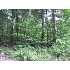 306 Webb Cove Drive, Lowell, ME - MLS 945893