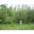 Lot 15, 16 Dogwood Dr, Waveland, MS - MLS 217130