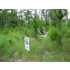 Lts 83, 84 Ivy Dr, Waveland, MS - MLS 217126