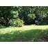 125 S Cotton St, Albemarle, NC - MLS 62694