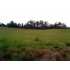 675 McFarland Rd, Utica, KY - MLS 52696