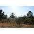 302 S Ryan Drive, Payson, AZ - MLS 59295