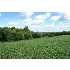 0 Hwy 47, Washington, MO - MLS 90044689