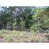 0 Country Club Rd., Ashburn, GA - MLS 117512
