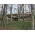 19,20 and 21 Whispering Oaks, Leitchfield, KY - MLS 49705