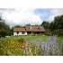 7992 W LOVEJOY RD, PERRY, MI - MLS 194249