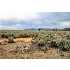 3000 E Juniper, Enterprise, UT - MLS 09-113012