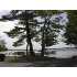 Lot 28 PINE TREE LN, , WI - MLS 105839
