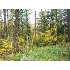 2101 Whitaker, New Sharon, ME - MLS 947770