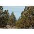 1111 SE Almond Lane, Prineville, OR - MLS 2908567